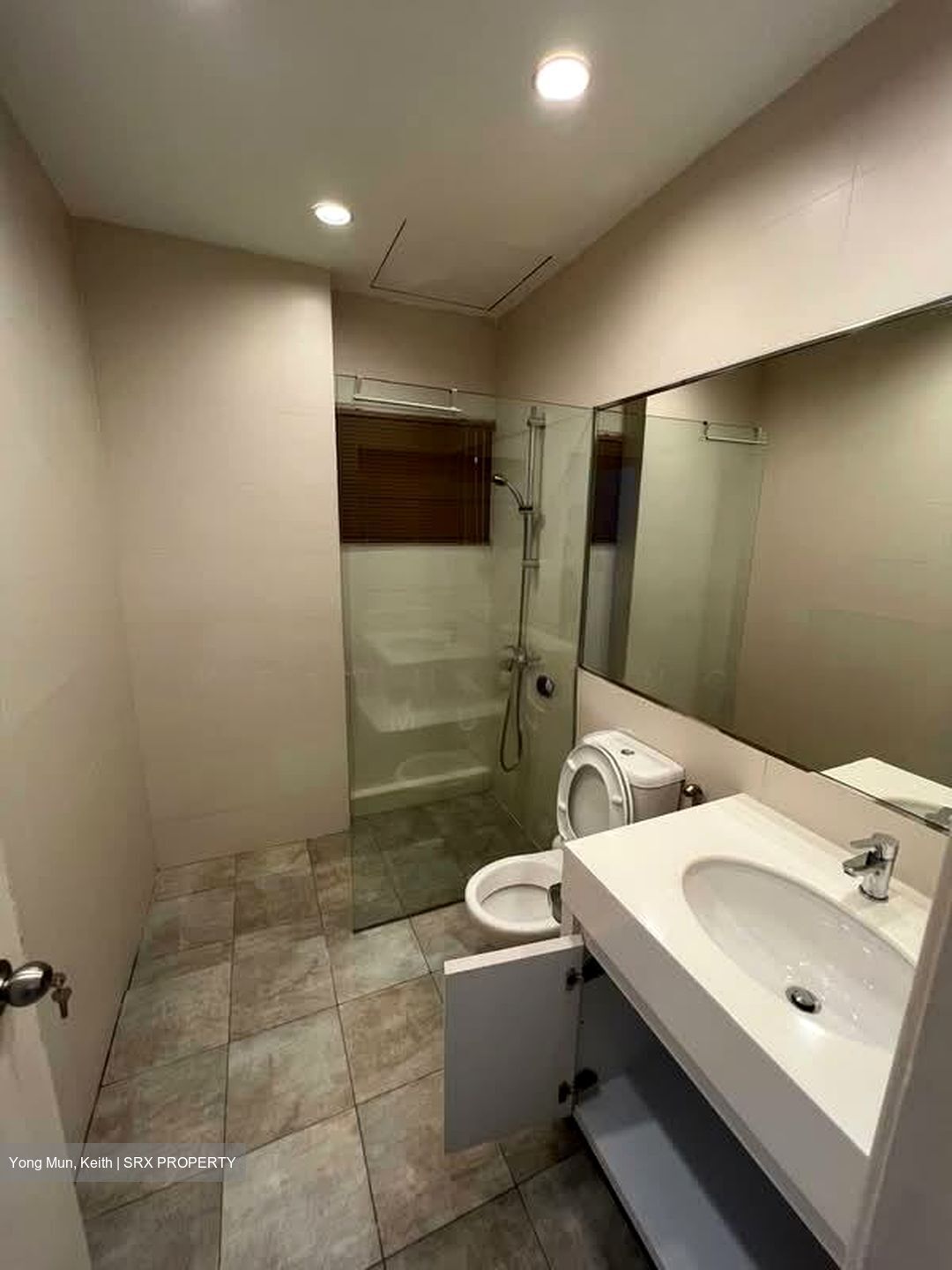The Arcadia (D11), Condominium #544069661